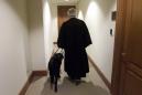 Judge Richard Casey walks with his seeing eye dog Coach through the halls of the U.S. District Courthouse Wednesday, Aug. 15, 2001, in New York. Casey, a federal judge in Manhattan who is blind, sees humor and joy while dispensing justice. (AP Photo/Beth A. Keiser)