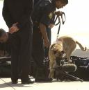 Secret Service agents inspect the luggage of members of the media travel pool on the tarmac next to Air Force One Tuesday morning, Sept. 11, 2001 at Sarasota/Bradenton International Airport in Bradenton, Fla. (AP Photo/Steve Nesius)