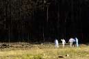 Investigators head into the debris field at the site of a commercial plane crash near Shanksville, Pennsylvania, September 11, 2001. The crash is one of four planes that were hijacked as part of a deadly and destructive terrorist plot. In the worst attack on American soil since Pearl Harbor, three hijacked planes slammed into the Pentagon and New York's landmark World Trade Center on Tuesday, demolishing the two 110-story towers that symbolize U.S. financial might.  REUTERS/Jason Cohn