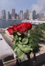 Roses placed as a memorial hang from a fence as smoke billows from the New York skyline September 12, 2001. The World Trade towers collapsed after being attacked by two hijacked jets on September 11.     REUTERS/Shaun Best